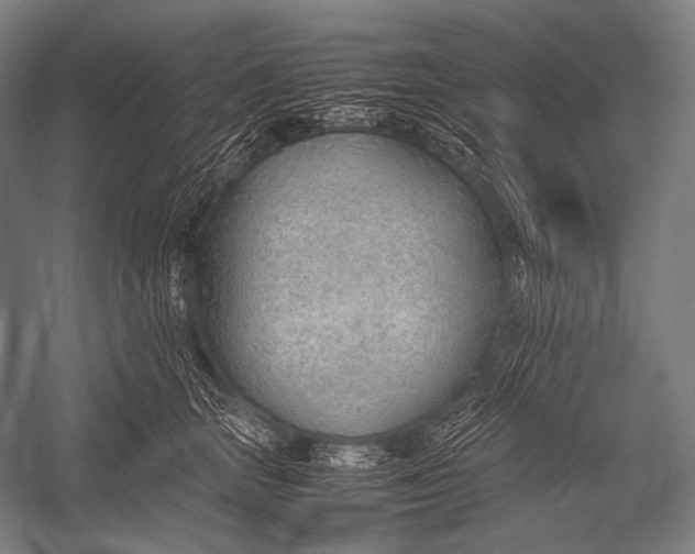 X0000052560663200507221437