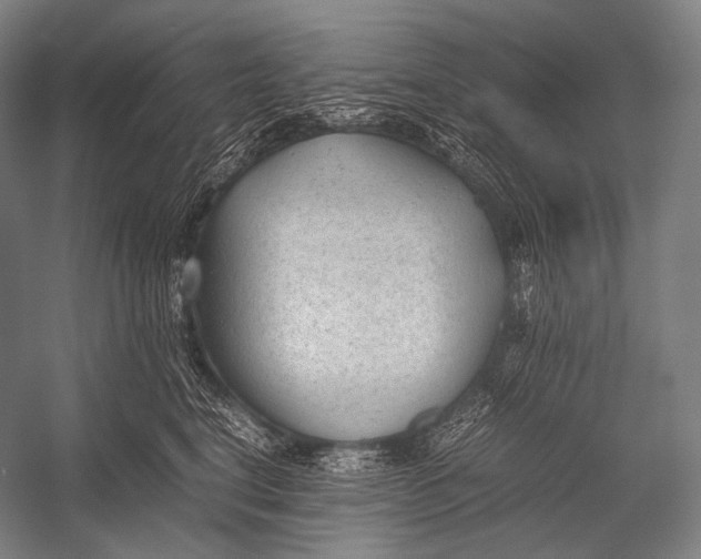 X0000052560664200507221437
