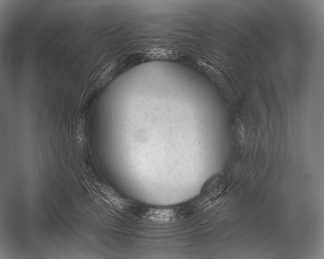 X0000052560665200507221437
