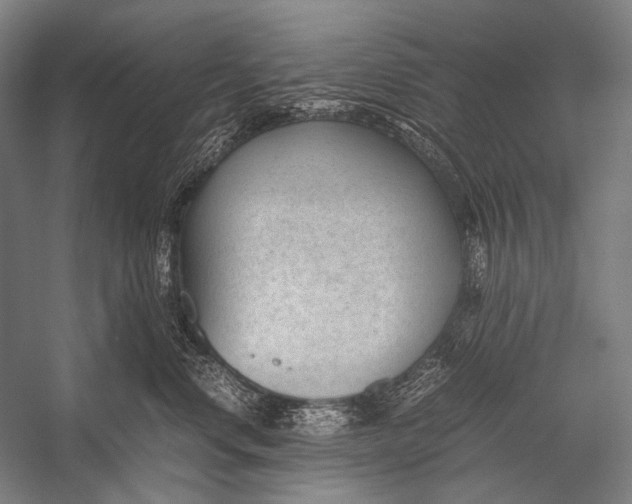 X0000052560668200507221437