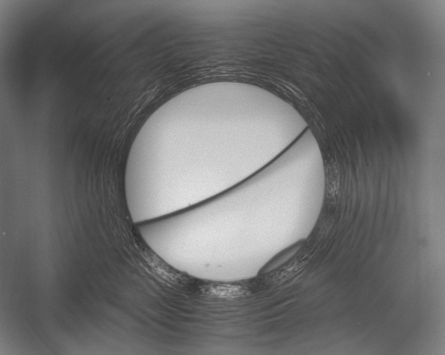 X0000052560669200507221437