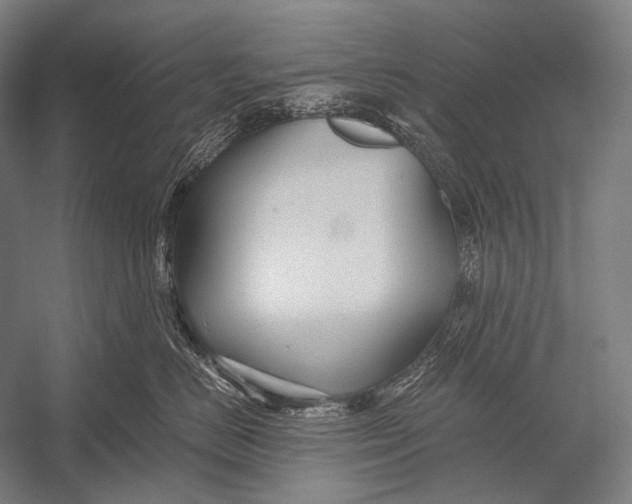 X0000052560670200507221437