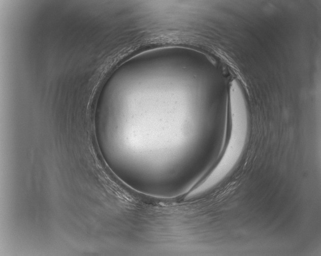X0000052560673200507221436
