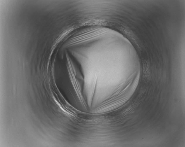X0000052560674200507221436