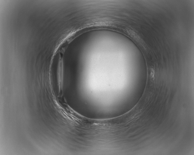 X0000052560676200507221436