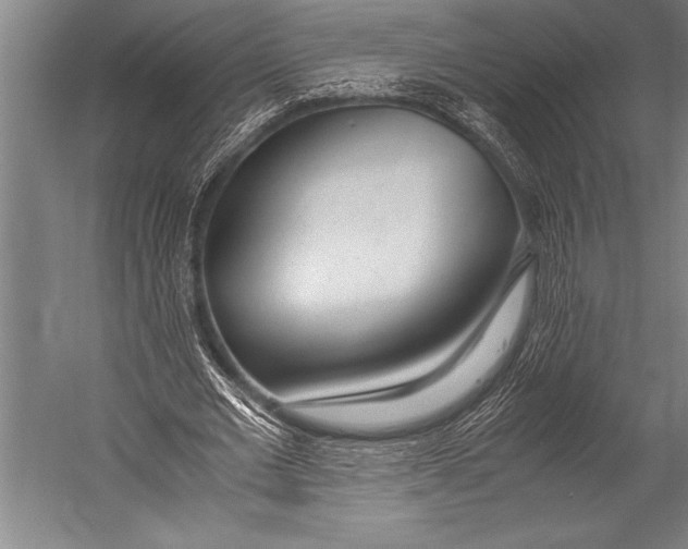 X0000052560677200507221436