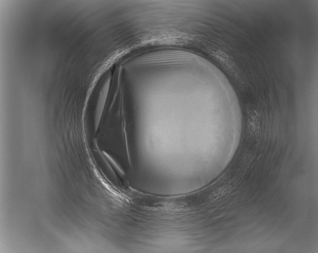 X0000052560678200507221436