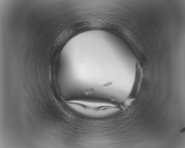 X0000052560685200507221436