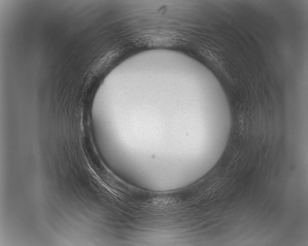 X0000052560686200507221436