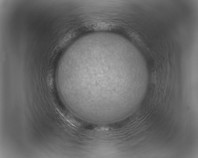 X0000052560687200507221436