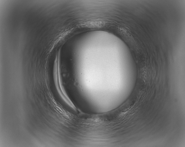X0000052560688200507221436