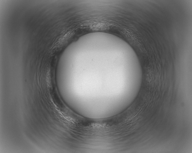X0000052560690200507221436