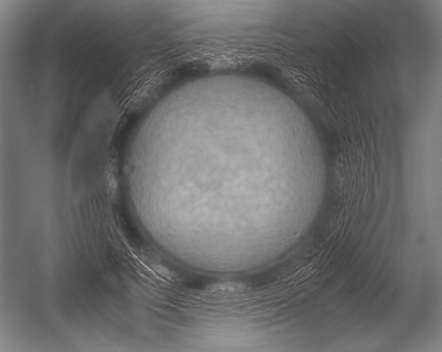 X0000052560691200507221436
