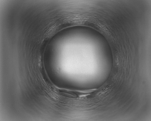 X0000052560693200507221436