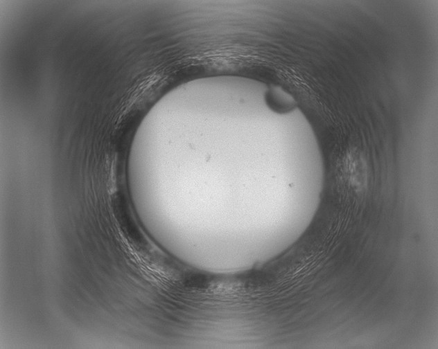 X0000052560694200507221436