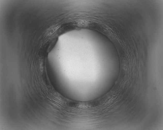 X0000052560697200507221436