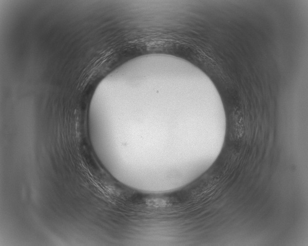X0000052560698200507221436