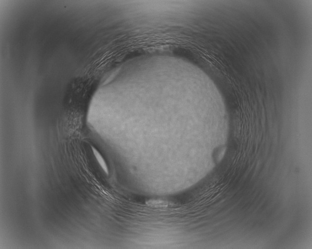 X0000052560699200507221436