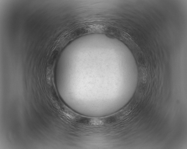 X0000052560701200507221436
