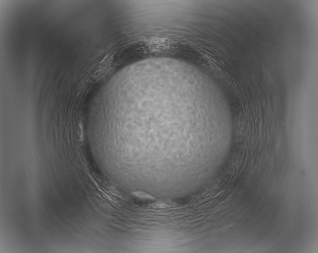 X0000052560703200507221436
