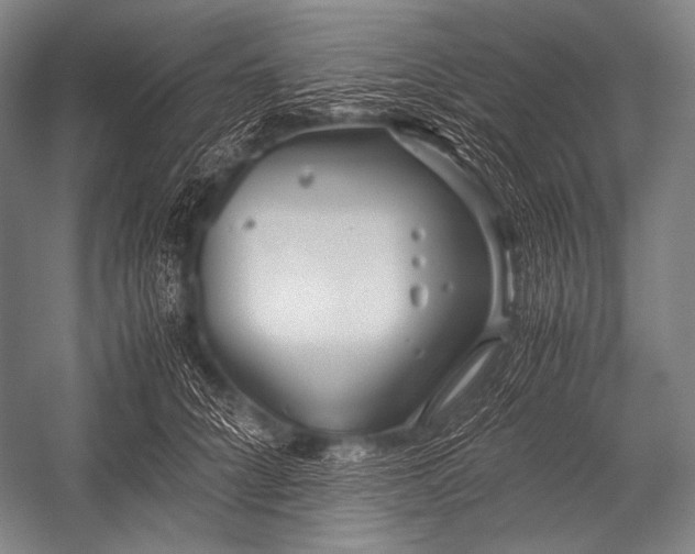 X0000052560704200507221436