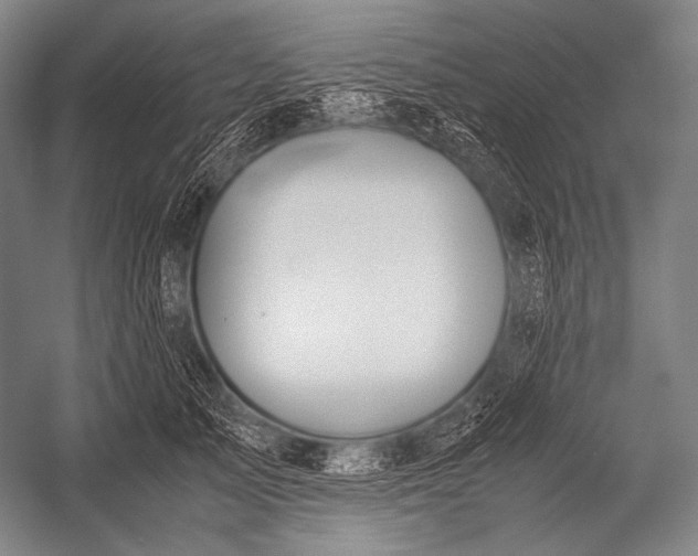 X0000052560705200507221436