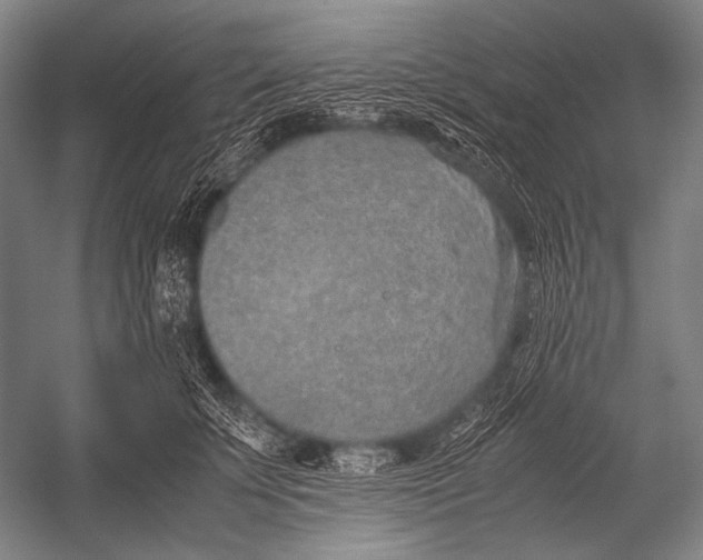 X0000052560707200507221436