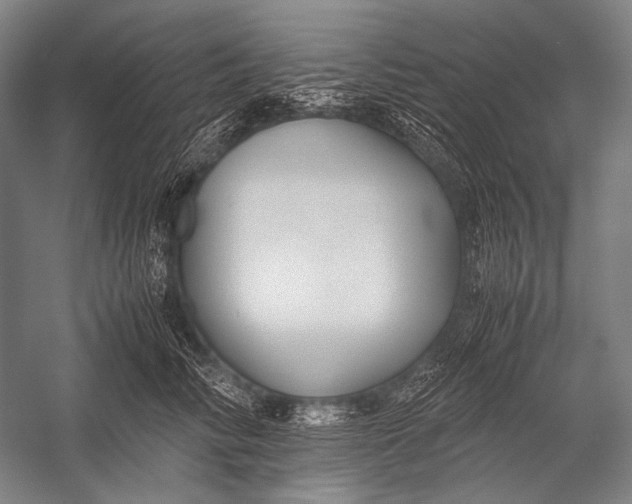 X0000052560710200507221436