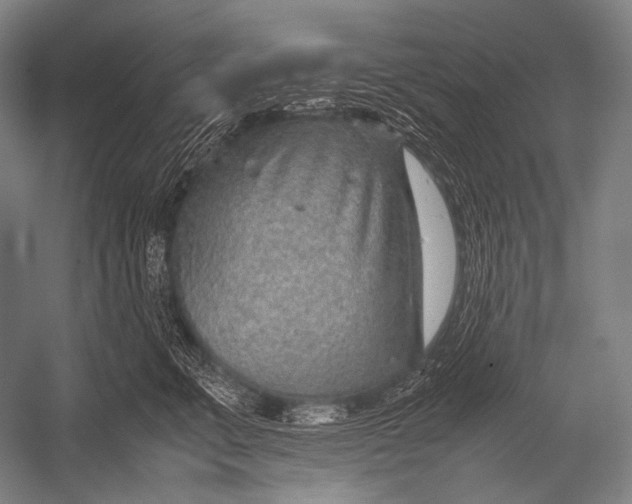 X0000052560711200507221436