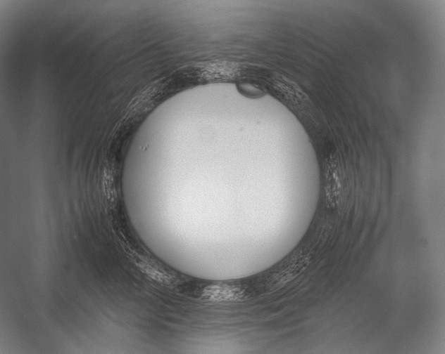 X0000052560714200507221436
