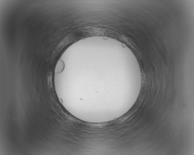 X0000052560717200507221436