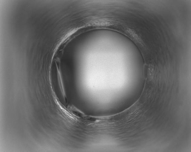 X0000052560726200507221435