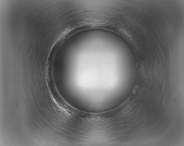 X0000052560730200507221435