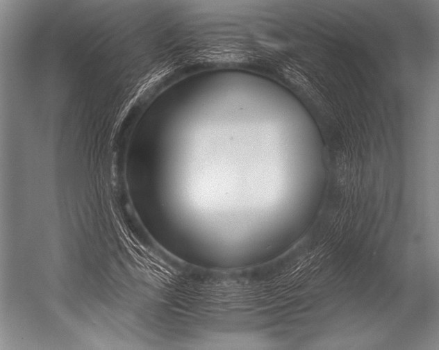 X0000052560731200507221435