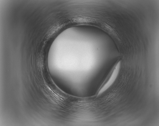 X0000052560732200507221435