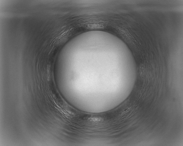 X0000052560741200507221435