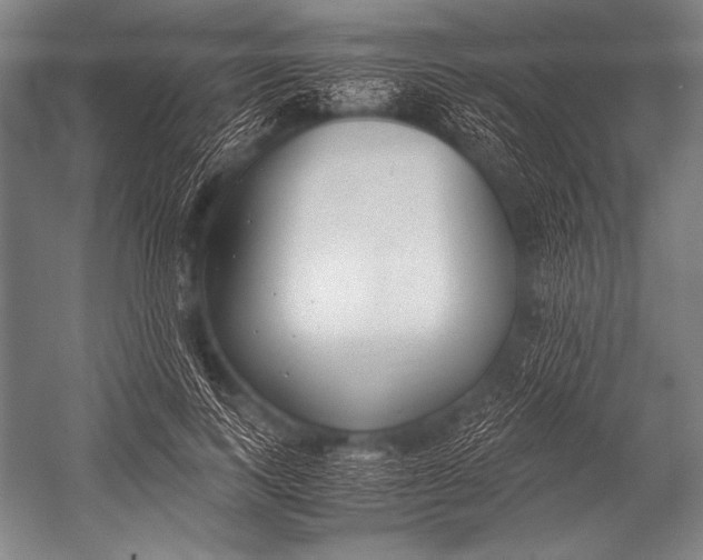 X0000052560743200507221435