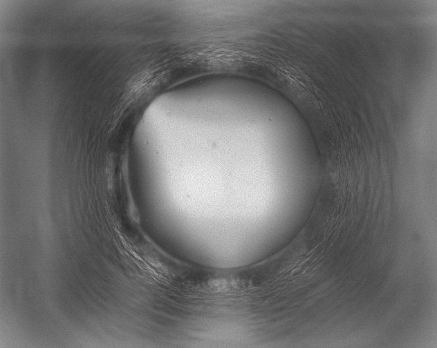 X0000052560744200507221435