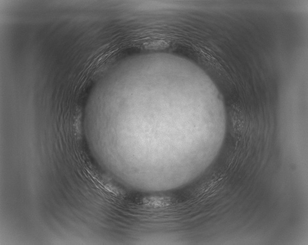 X0000052560745200507221435
