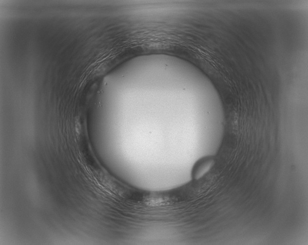 X0000052560746200507221435