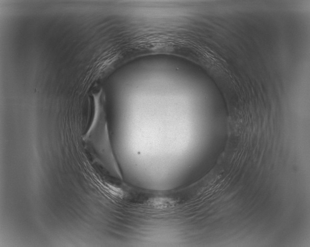 X0000052560748200507221435