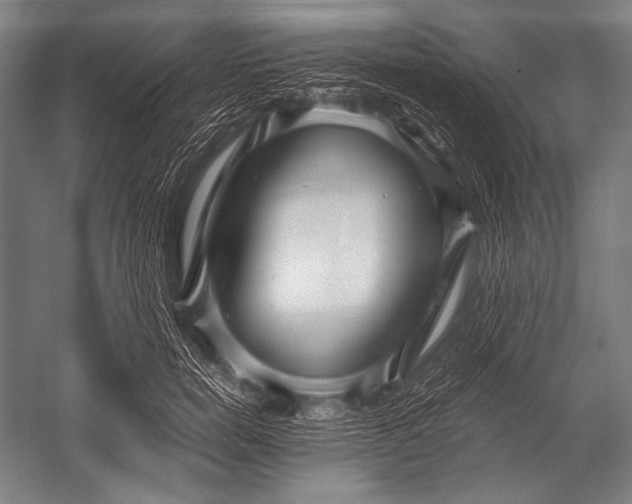 X0000052560750200507221435