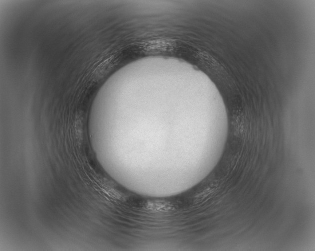X0000052560753200507221435