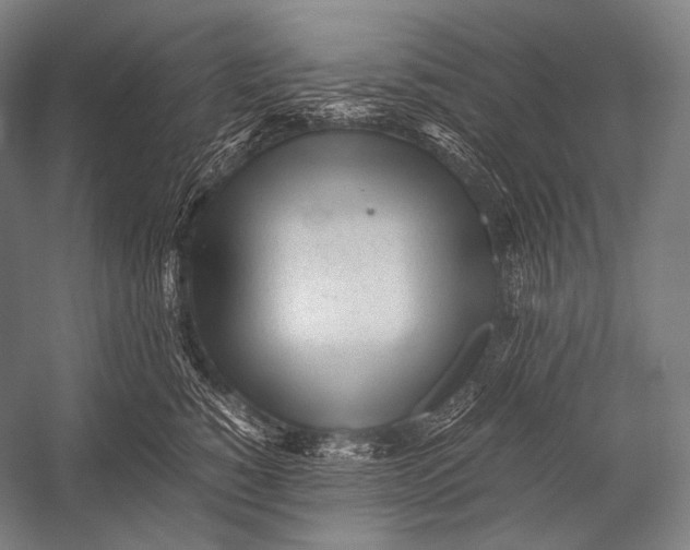 X0000052560760200507221435