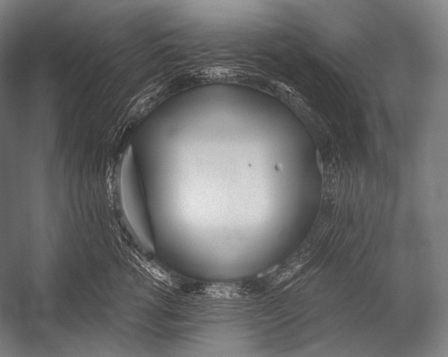 X0000052560762200507221435