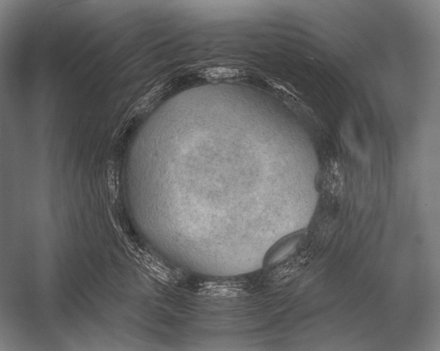 X0000052560763200507221435