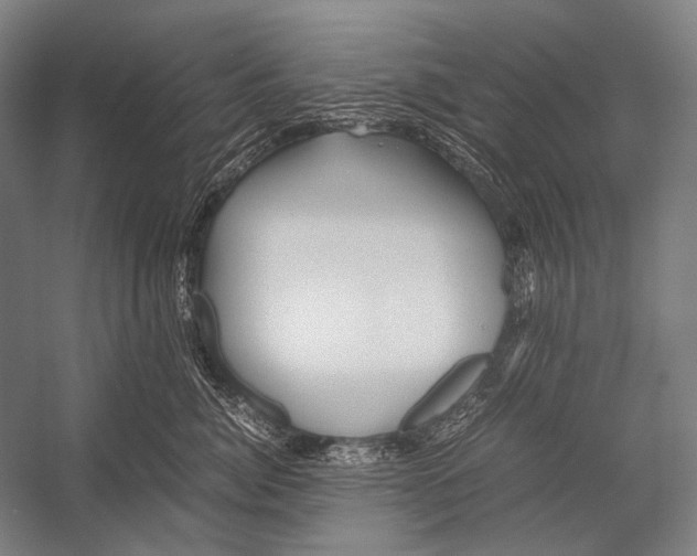 X0000052560764200507221435
