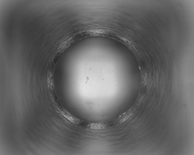 X0000052560766200507221436