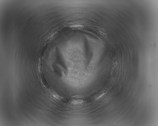 X0000052560767200507221436