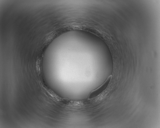 X0000052560768200507221436